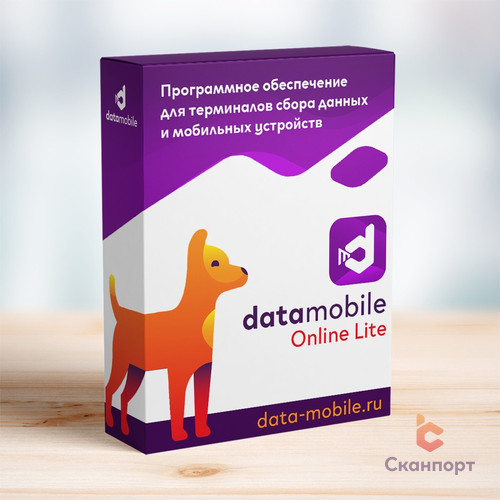 DataMobile Online Lite — изображение программного продукта